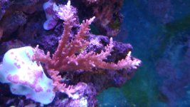 IMG_20210325_1638317.jpg