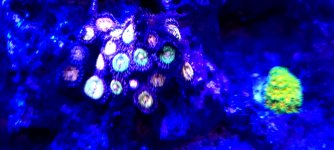 20210519_202902.jpg