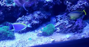 20210603_204219.jpg